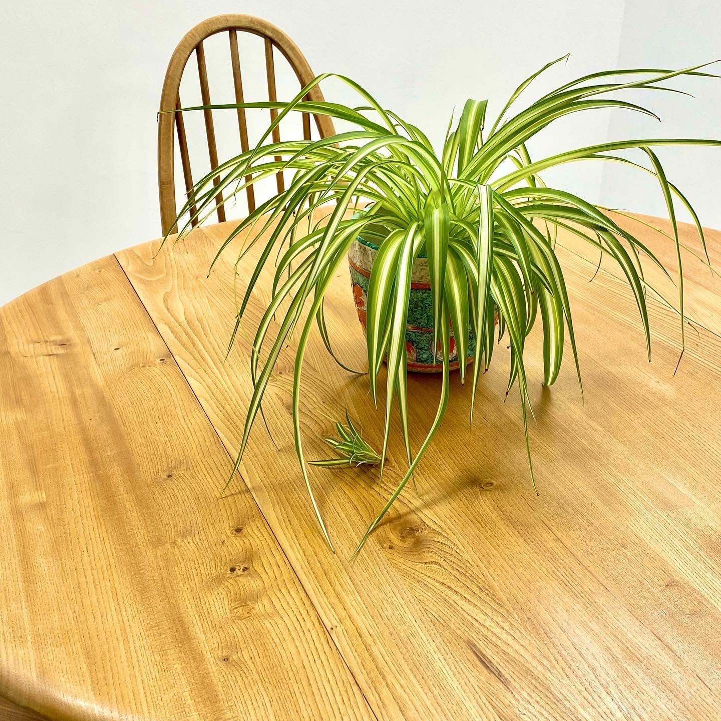 Ercol Drop Leaf Plank Table